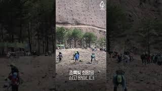 2023 신혼부부 나무심기 #shorts