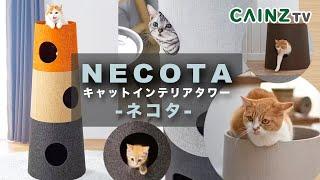 NECOTA ｜キャットインテリアタワー〜ネコタ〜猫と人に優しいおすすめキャットタワー【カインズ】