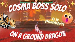 Is it possible to defeat the Cosma Boss only on a land dragon?!-Roblox Dragon Adventures Solstice
