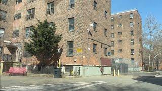 Brooklyn's Most Famous Hood - Bed Stuy Project Neighborhood Drive Through Part 1