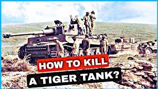 Fighting The Tiger Threat: How The British Managed to Destroy German Tiger Tanks?