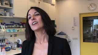 #OpenUpStemCells: Kerstin Bartscherer on stem cells in her research