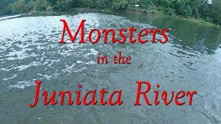 Monsters in the Juniata River