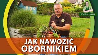 Jak nawozić obornikiem - Z PLANTĄ W OGRODZIE