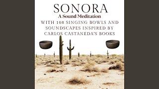 SONORA - A Sound Meditation inspired by Carlos Castaneda with the sound of 108 singing bowls