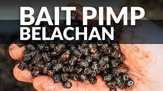 P.R. Baits & Rods - Belachan Extrakt Pellets