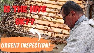 The Ultimate Guide to Preventing Swarming Bees on Your Farm