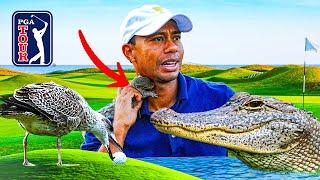 Top 10: Animal Encounters on the PGA TOUR