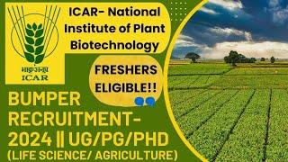 ICAR- National Institute of Plant Biotechnology | Bumper Recruitment 2024| UG/PG/PhD(Agri/ Life Sc.)