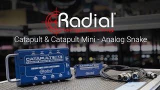 How to connect analog audio through cat 5 ethernet with the Radial Catapult