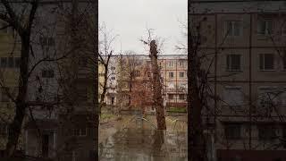 Yomg’irli kun 2023 Rain Rainy day Дождь дождливый день