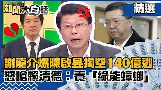 【精選】民進黨弊案等著爆？謝龍介爆陳啟昱掏空140億逃亡！怒嗆賴清德：養了１批「綠能蟑螂」！ 【新聞大白話】#龍介仙聊政治#熱搜大來賓