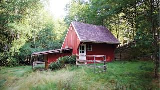 I Turned this Empty Old Horse Stable into a Dream Woodland Cabin