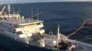 The World's Largest Tuna Fishing Vessel