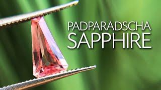 RARE 1,06ct Unheated Padparadscha Sapphire - Paul Reinhard