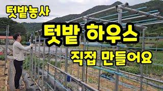 텃밭농사 텃밭 하우스 비닐하우스 직접 만들어요. 괴산유튜브 자연특별시괴산 자연울림