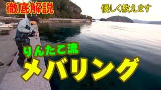 りんたこ流！冬のメバリング攻略術！ 1/2 『Dz SALT 2ND 6 岩崎林太郎×大分県臼杵湾 メバリング』イントロver.【釣りビジョン】その①