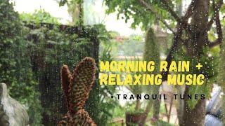 Morning Rain Relaxing music | Tranquil Tunes