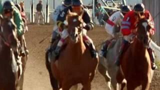 Horse Racing