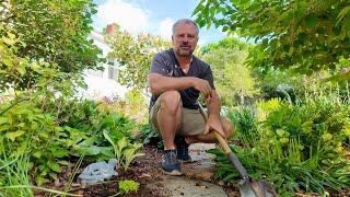 10 New Perennials and Window Boxes Refreshed