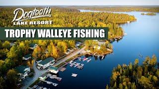 Trophy Walleye Fishing at Dogtooth Lake Resort | Kenora, Ontario