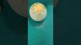 beautiful muskmelon cutting trick. Chinese style.#shortvideo #video #chefprasant