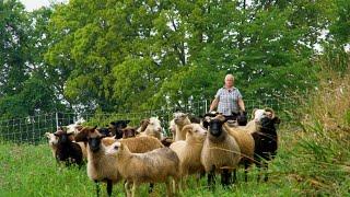 Sustainable Agriculture in Pennsylvania - America's Heartland