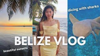 a week at the world’s best dive resort | Belize scuba diving, food, rainforest & more