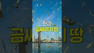 [#LH한국토지주택공사] 부동산 개발 호재를 기다리는 분이라면? 이 영상을 주목해 주세요! #여의도 #황금토지