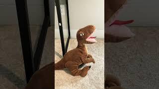 Dinosaur Plush Vs Dinosaur Figures  #dinosaurs #dinosaurtoys