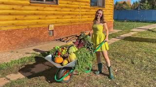 Harvesting - Mom teaches me how to cook pies