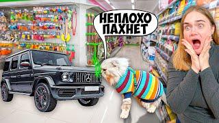 СКУПАЮ ВСЁ, ЧТО ПОНЮХАЕТ КОТ КЕВИН | с котом вход разрешён!