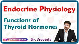 Functions of Thyroid Hormones : Endocrine physiology USMLE Step 1