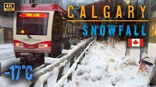 【4K】️ Calgary’s First Snowstorm of the Season! ️|Winter Walking Tour! #snow  #walkingtour #4k