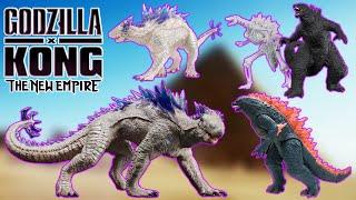 HUGE SHIMO FIGURE! Spiral Studio Godzilla x Kong New Empire Bandai Hobby/Spirits Model Kit PRE-ORDER