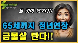 65세까지 정년 연장 급물살 탄다!!