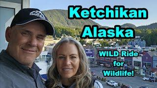 Ketchikan Alaska | Wildlife Tour in George Inlet via a Zodiac Raft! #cruisetour #wildlife #explore