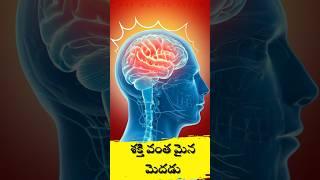 IMPORTANT BRAIN FACT | TOP 10 INTERESTING FACTS IN TELUGU  #facts #trending #shorts #shortvideo