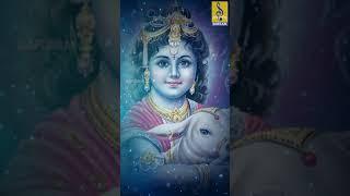 Narayaneeyam | Latest Krishna Devotional | Madhu Balakrishnan | Achutham Kesavam