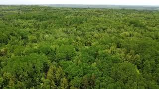 39 Acres - Hastings Road - MLS 202312489