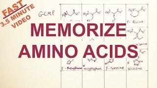 EASY-Memorize the Twenty Amino Acids: Structure and Code- tryptophan correction!