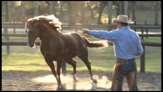 Parelli Natural Horsemanship