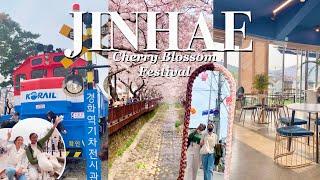 Going to Jinhae for cherry blossoms + cafe hopping  l Spring in Korea VLOG