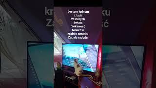 Jestem jednych z tych W których świata radość #Cat #Cat Amber #Amber
