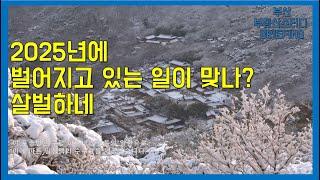 부산부동산 부산아파트 2025년에 벌어지고 있는 일이 맞나? 살벌하네