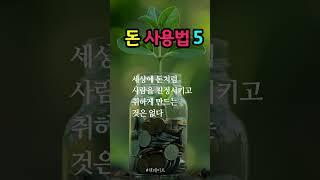 돈은 완벽한 즐거움이다  #부자 #돈 #행운 #부자마인드 #책데이트 #shorts