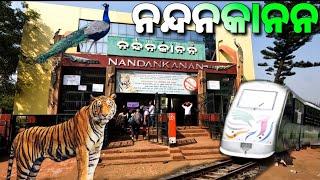 Nandankanan Zoological Park | Tiger & Lion Safari Tour | #odiavlog