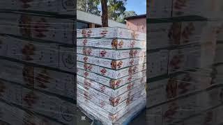 Spices from Safenet Noohبهارات من سفينة نوح 