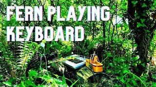 Fern Playing Keyboard