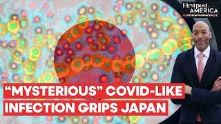 Japan: Lethal Infection Spreads, Govt Advises Covid Pandemic-Like Precautions | Firstpost America